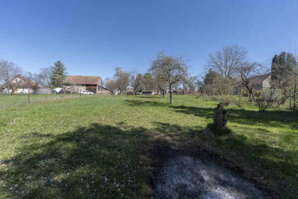 DSC01471