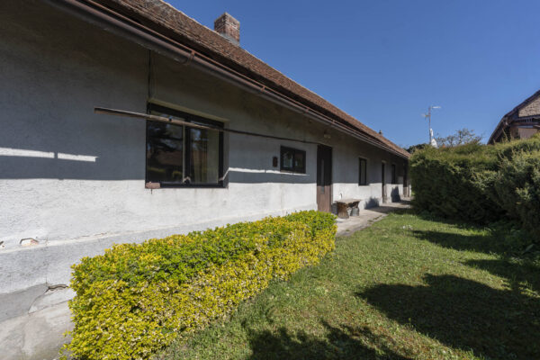 DSC01480
